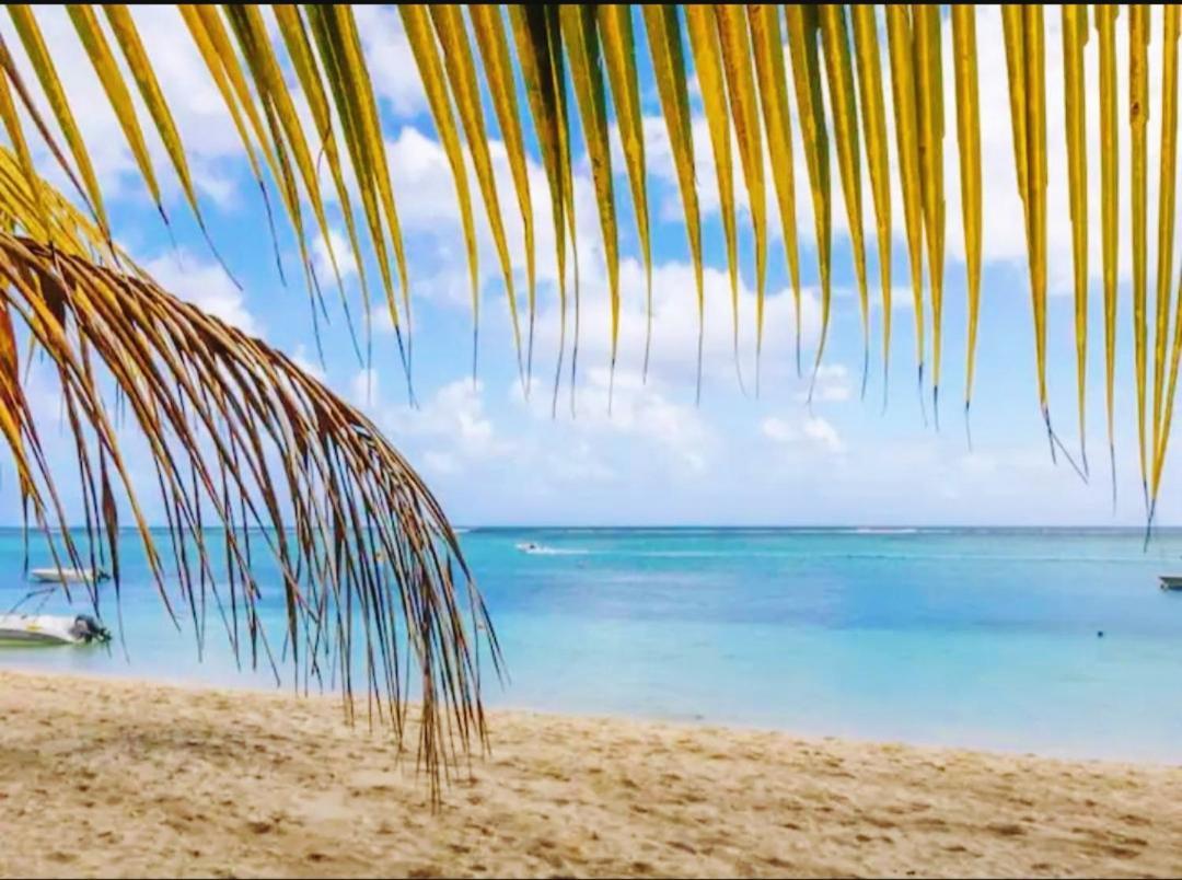3Bed Villa With Private Pool And Rooftop With A Sea View In Flic-En-Flac, Mauritius 외부 사진